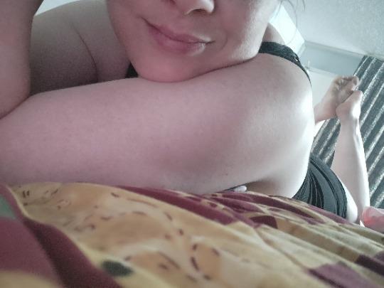  Lex
