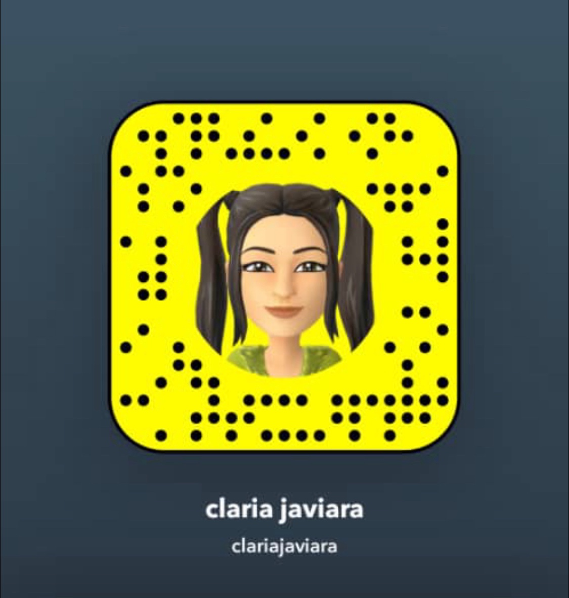 Claria javiera